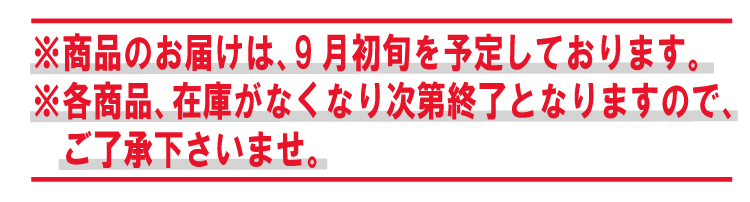 ゴールデンカムイ黄金に染まる函館